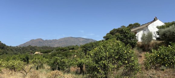 13391m² Land in Estepona, Spain No. 147738 21