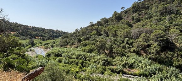 13391m² Land in Estepona, Spain No. 147738 9