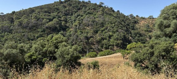 13391m² Land in Estepona, Spain No. 147738 13