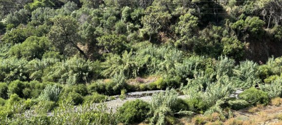 13391m² Land in Estepona, Spain No. 147738 11