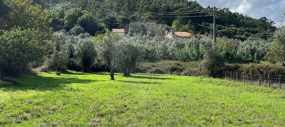 2 bedrooms House in Ferreira do Zezere, Portugal No. 27737 5