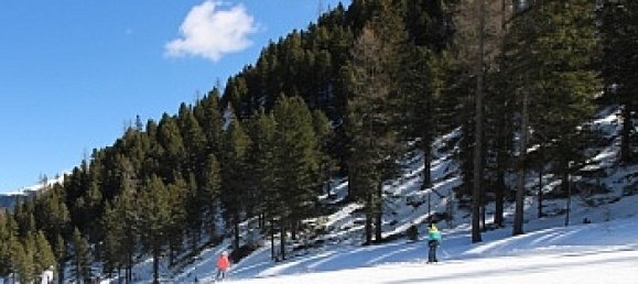 4 rooms House in Stadl-Predlitz, Austria No. 45562 3