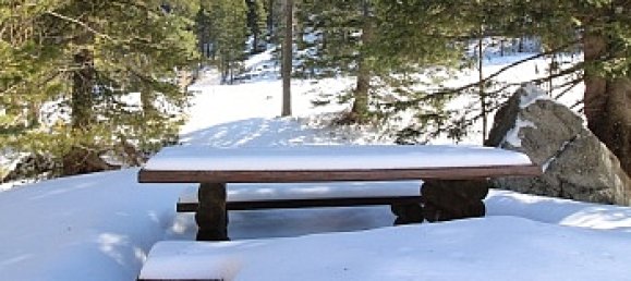 4 rooms House in Stadl-Predlitz, Austria No. 45562 10