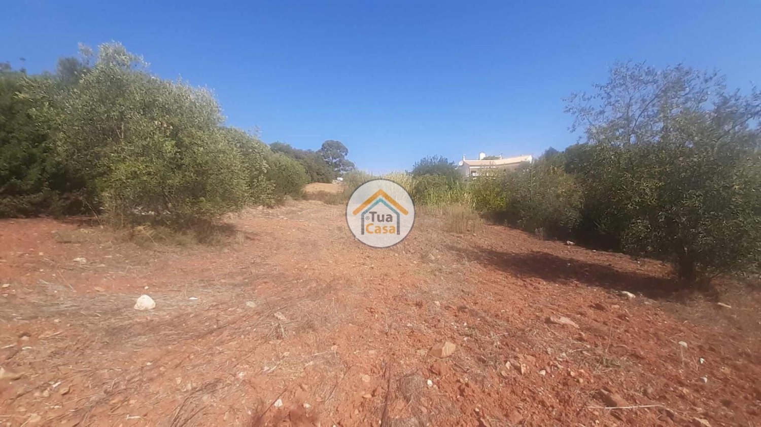  قطعة أرض في Sao Bras de Alportel, Portugal 360متر مربع رقم 77470