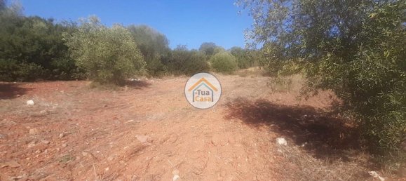  قطعة أرض في Sao Bras de Alportel, Portugal 360متر مربع رقم 77470 2