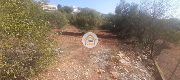  قطعة أرض في Sao Bras de Alportel, Portugal 360متر مربع رقم 77470 6