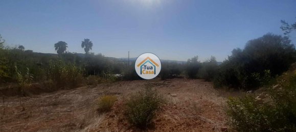  قطعة أرض في Sao Bras de Alportel, Portugal 360متر مربع رقم 77470 7
