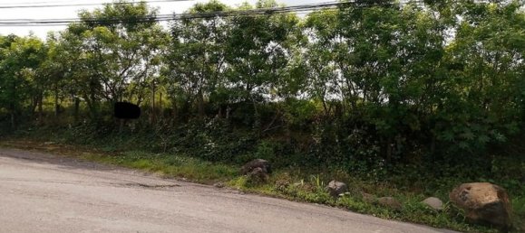 Grundstück in Santa Ana, Costa Rica, Nr. 1782 3