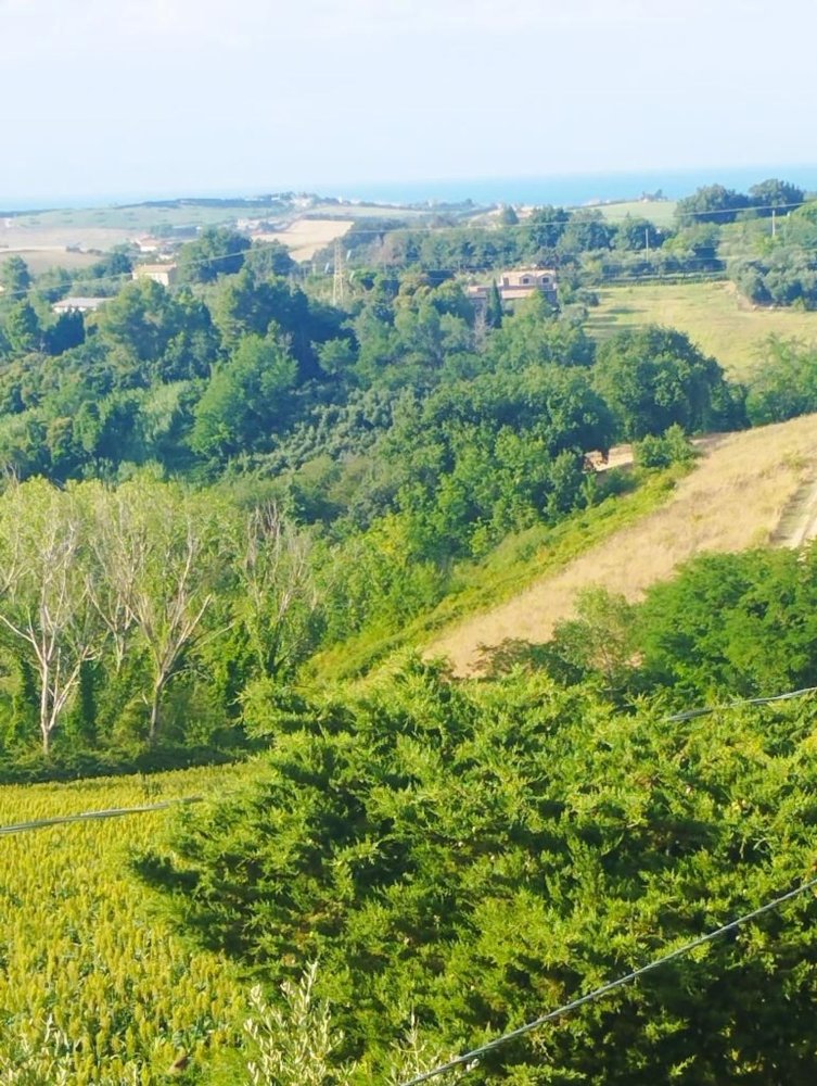 8 rooms House in San Costanzo, Italy No. 298825