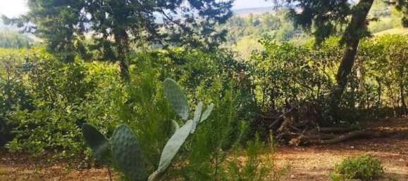 8 rooms House in San Costanzo, Italy No. 298825 12