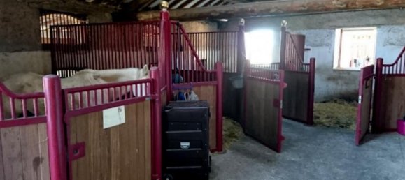 4 غرف نوم قلاع في Metz, France رقم 301513 10