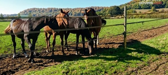 4 غرف نوم قلاع في Metz, France رقم 301513 14