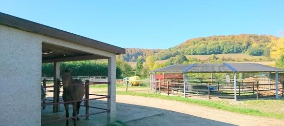 4 غرف نوم قلاع في Metz, France رقم 301513 13