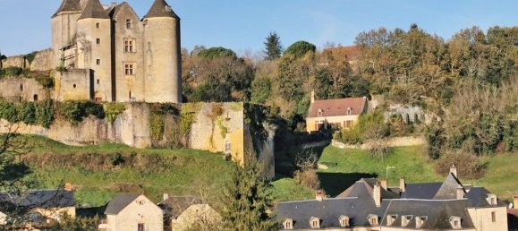 4 bedrooms Villa in Salignac-Eyvigues, France No. 346530 5