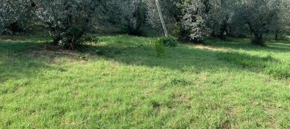 8170m² Land in Poggio San Lorenzo, Italy No. 281527 5