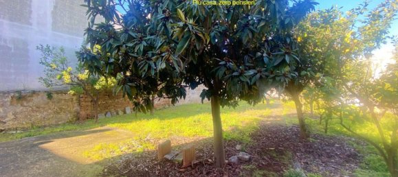 4 rooms House in Adelfia, Italy No. 133937 7