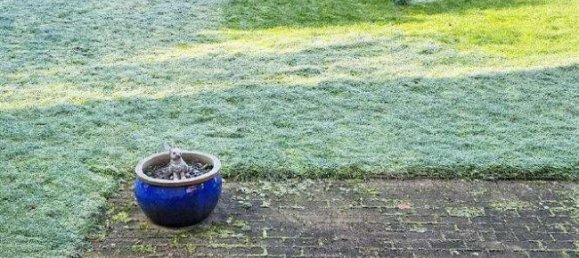 1 bedroom House in Lippe, Germany No. 120627 24