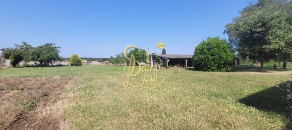 Casa de 3 dormitorios en L'Ile-Bouchard, France No. 76220 14