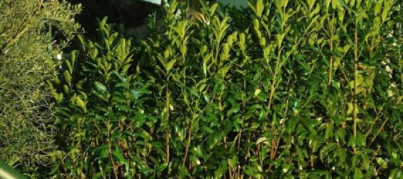 2 bedrooms House in Amarante, Portugal No. 189927 9