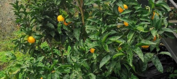 2 bedrooms House in Amarante, Portugal No. 189927 7