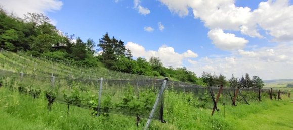 Castillos de 1 dormitorio en Neckenmarkt, Austria No. 218371 13