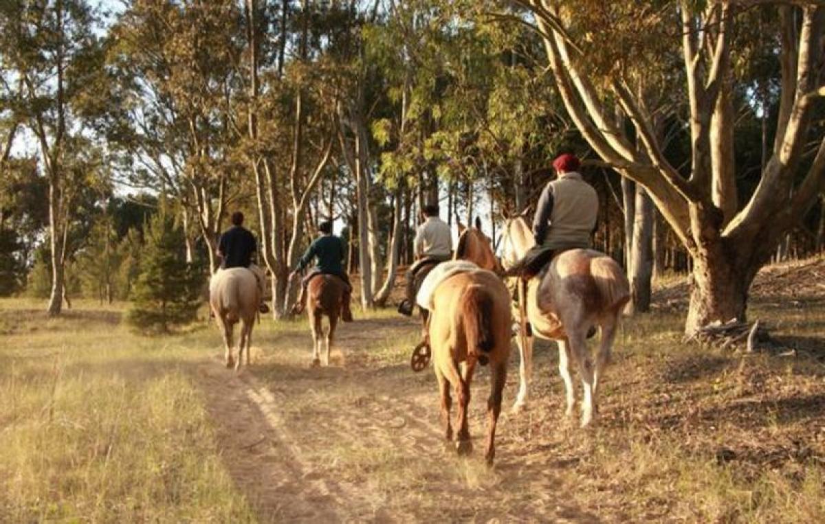 Terrain à Mar del Plata, Argentina No. 118612