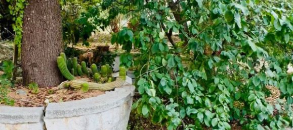 Casa de 5 habitaciónes en Locorotondo, Italy No. 259845 8