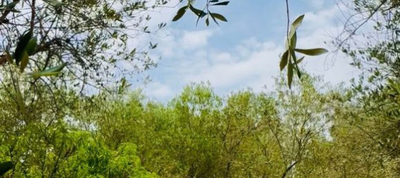 Casa de 5 habitaciónes en Locorotondo, Italy No. 259845 13