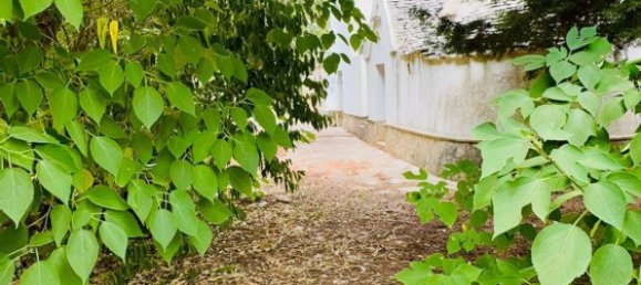 Casa de 5 habitaciónes en Locorotondo, Italy No. 259845 15