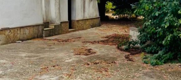 Casa de 5 habitaciónes en Locorotondo, Italy No. 259845 7