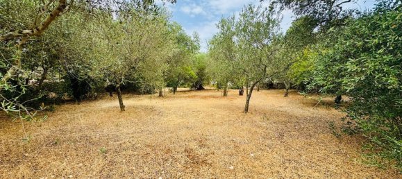 Casa de 5 habitaciónes en Locorotondo, Italy No. 259845 14