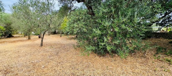 Casa de 5 habitaciónes en Locorotondo, Italy No. 259845 16