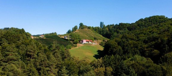 6 rooms Castles in Leibnitz, Austria No. 136044 34