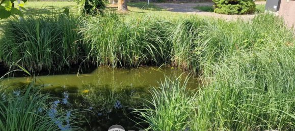 Дом с 5 комнатами в Вайкендорф, Австрия № 132346 25