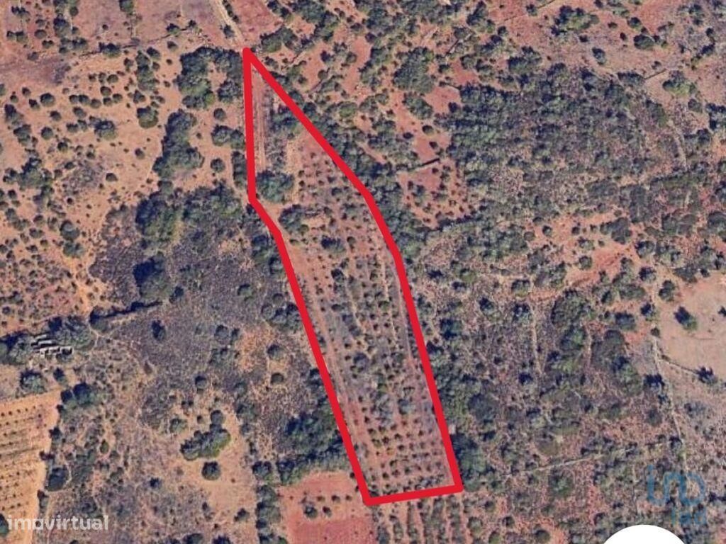 Grundstück in Silves, Portugal 8360m², Nr. 283567