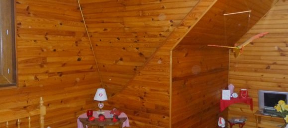 4 chambres Maison à Châteauneuf-sur-Loire, France No. 101021 13