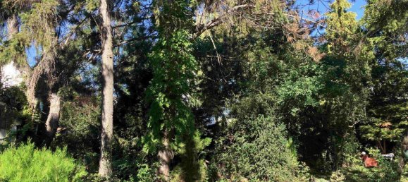 1125m² Land in Liesing, Austria No. 255089 8