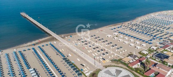 4 bedrooms Villa in Forte dei Marmi, Italy No. 40636 3