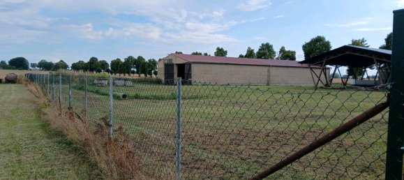  Land in Prignitz, Germany No. 270307 12