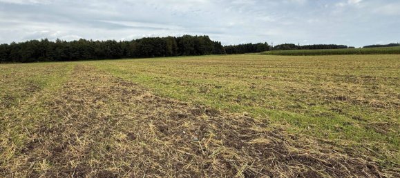 Terrain à Traunstein, Germany No. 283180 3