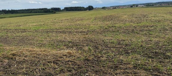 Terrain à Traunstein, Germany No. 283180 4