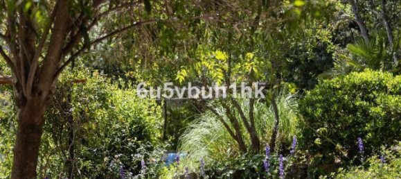 7 Schlafzimmer Villa in Gaucin, Spain, Nr. 183333 36