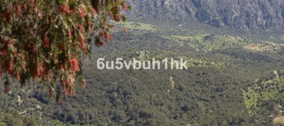 7 Schlafzimmer Villa in Gaucin, Spain, Nr. 183333 46