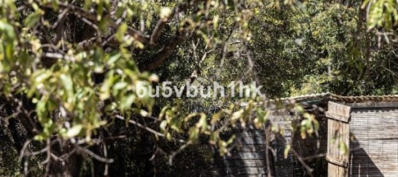 7 Schlafzimmer Villa in Gaucin, Spain, Nr. 183333 49