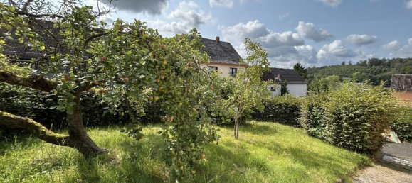 3 bedrooms House in Altenkirchen, Germany No. 314160 4