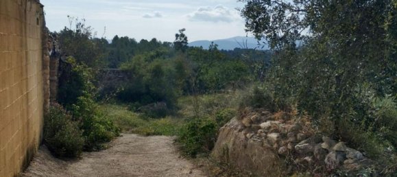 3 bedrooms House in Sierra Engarceran, Spain No. 113939 23