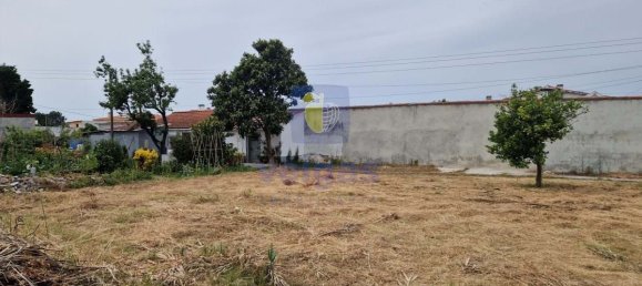 Terreno en Marinha Grande, Portugal 366 m² No. 168286 4