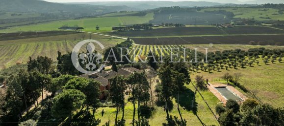 40 rooms House in Castiglione del Lago, Italy No. 46309 39