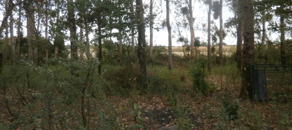 Земельный участок в Сен-Жорж-сюр-ла-Пре, Франция № 100419 2