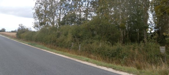 Земельный участок в Сен-Жорж-сюр-ла-Пре, Франция № 100419 3